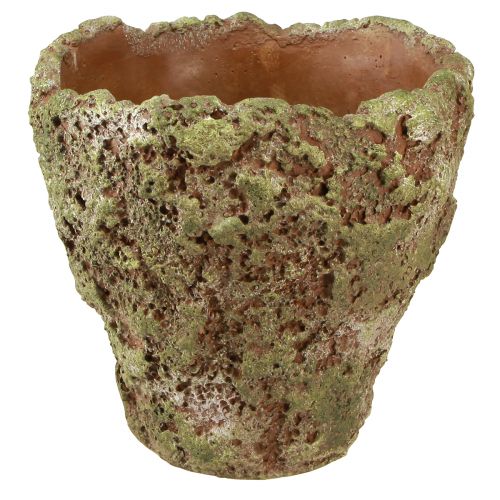 Produkt Rustykalna donica doniczkowa zielonobrązowa Ø21cm W19,5cm