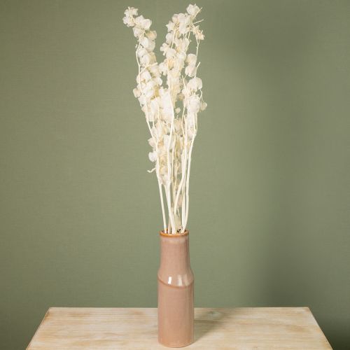 Produkt Miechunka suszona bielona, dekoracja lampionu Nicandra 75-80cm 100g