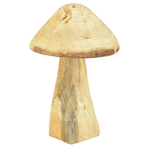Floristik24 Naturalny grzyb dekoracyjny wykonany z drewna wiązu, grzyb drewniany 27cm