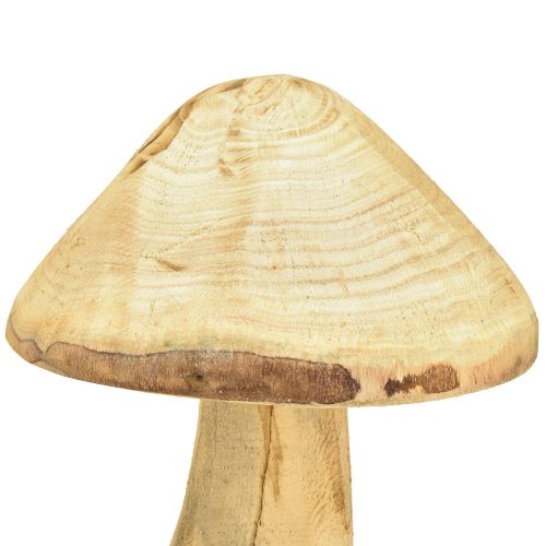 Floristik24 Naturalny grzyb dekoracyjny wykonany z drewna wiązu, grzyb drewniany 27cm