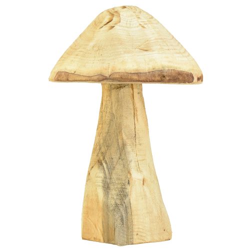 Floristik24 Naturalny grzyb dekoracyjny wykonany z drewna wiązu, grzyb drewniany 27cm