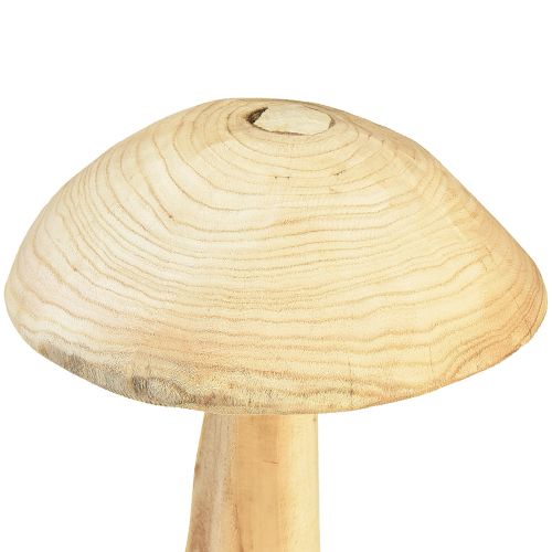 Floristik24 Rzeźba grzybowa z naturalnego drewna wiązu - Rustykalny design, 37 cm - Stylowa dekoracja ogrodu i wnętrz