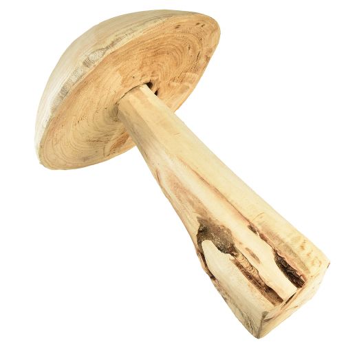 Floristik24 Rzeźba grzybowa z naturalnego drewna wiązu - Rustykalny design, 37 cm - Stylowa dekoracja ogrodu i wnętrz