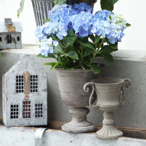 Floristik24 Miseczka na filiżankę szara Ø11cm W19cm