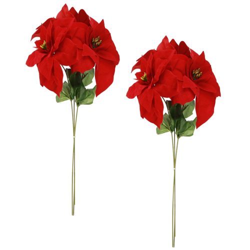 Produkt Wspaniała gwiazda bożonarodzeniowa - Poinsecja w kolorze czerwonym - 46 cm 6 sztuk 2 pęczki