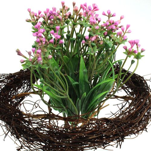 Floristik24 Mankiety winorośli Ø20cm 10 szt
