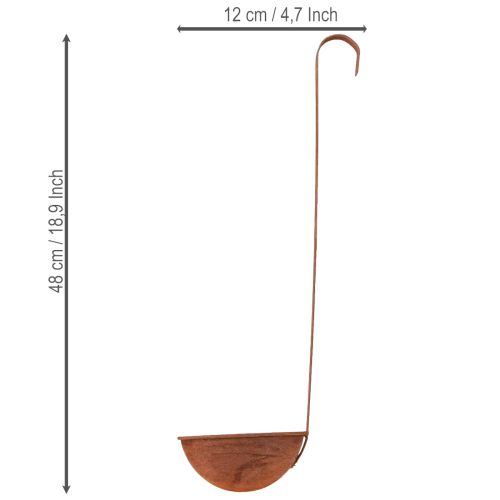 Produkt Misa do sadzenia, chochla dekoracyjna, wykończenie rdzawe, Ø12 cm, 3 sztuki