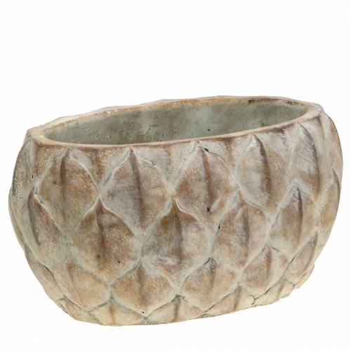 Floristik24 Doniczka betonowa z motywem liści owalna 23 cm