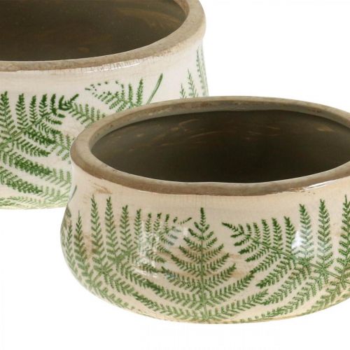 Floristik24 Miska na rośliny paproć doniczka ceramiczna okrągła ceramiczna Ø14/18cm zestaw 2 szt