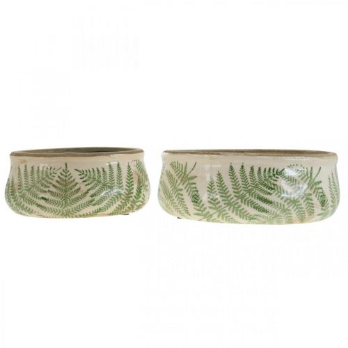 Floristik24 Miska na rośliny paproć doniczka ceramiczna okrągła ceramiczna Ø14/18cm zestaw 2 szt