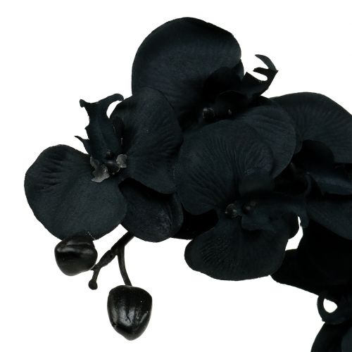 Produkt Orchidea do dekoracji Czarna 54cm