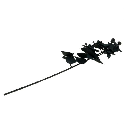 Produkt Orchidea do dekoracji Czarna 54cm