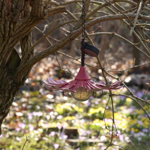 Produkt Solarna lampa ogrodowa LED Flower Garden LED Metal Pink Ø30cm