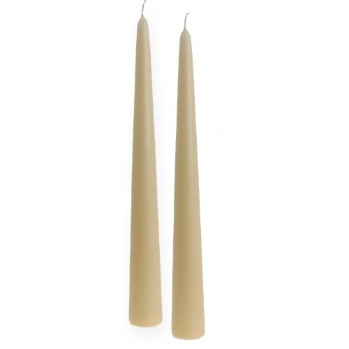 Floristik24 Świeca spiczasta 300/40 Kremowa 8szt.