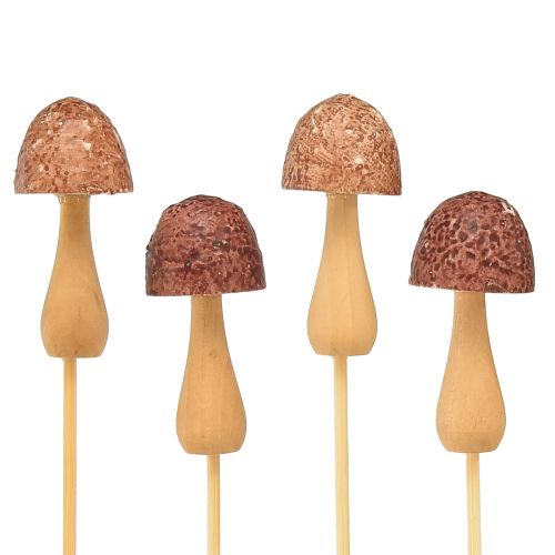 Produkt Wtyczka kwiatowa grzybkowa dekoracyjna wtyczka drewniana brązowa Ø2,5cm 8 sztuk