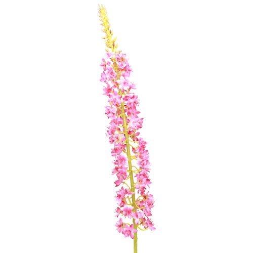Produkt Świeca stepowa Desert Tail Pink 106cm