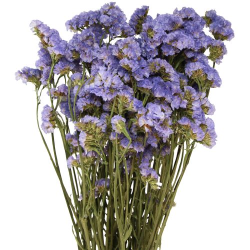 Floristik24 Liliowy Fioletowy Statice Limonium sinuatum Suszone Kwiaty 60cm 50g
