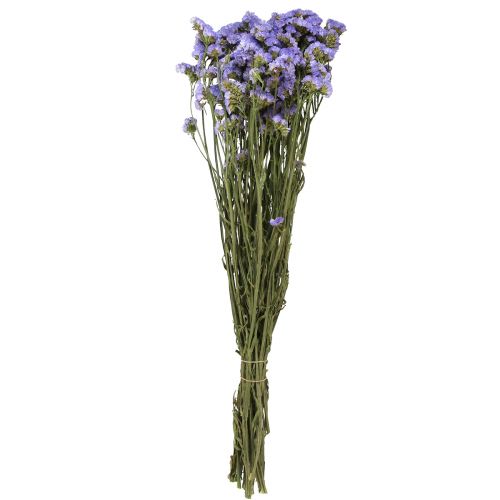 Floristik24 Liliowy Fioletowy Statice Limonium sinuatum Suszone Kwiaty 60cm 50g
