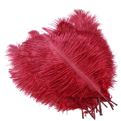 Produkt Ozdoba z prawdziwych piór strusich w kolorze wina czerwonego 20-25cm 12 szt