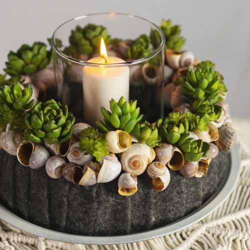 Produkt Soczysta Echeveria Sztuczna zielona roślina Zielona Ø5,5cm 12,5cm
