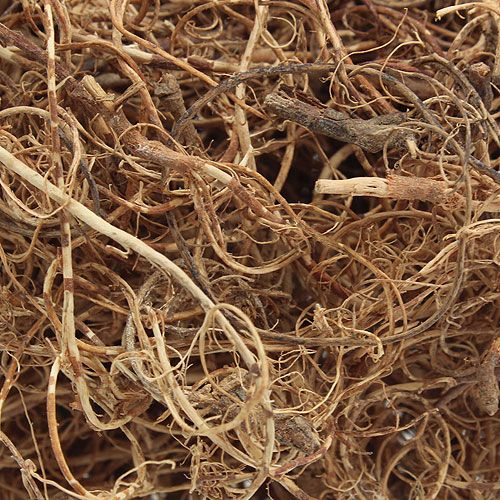 Floristik24 Włókno dekoracyjne Tamarind Fibre Natur materiał rękodzielniczy włókno naturalne 500g