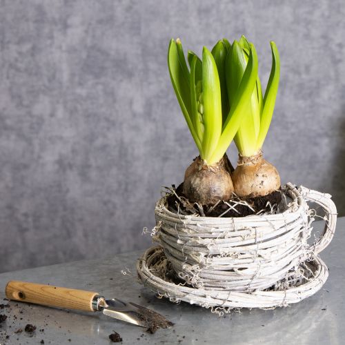 Produkt Filiżanka z naturalnego materiału o rustykalnym uroku do ekskluzywnej dekoracji wnętrz 13 cm