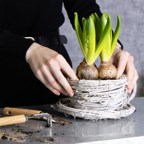 Produkt Filiżanka z naturalnego materiału o rustykalnym uroku do ekskluzywnej dekoracji wnętrz 13 cm