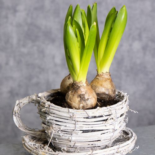 Produkt Filiżanka z naturalnego materiału o rustykalnym uroku do ekskluzywnej dekoracji wnętrz 13 cm