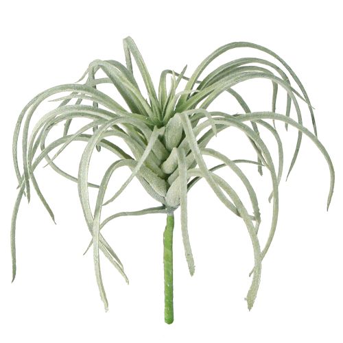 Tillandsia sukulent sztuczne rośliny zielone 13cm