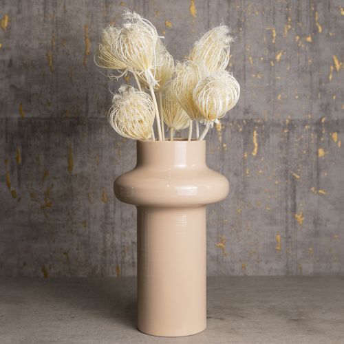 Produkt Suszone kwiaty krem koper włoski bielone pęczek 45cm 10 szt.