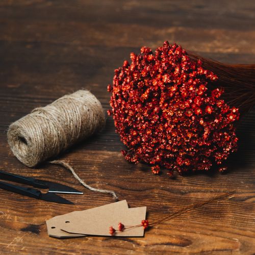 Produkt Bukiet z suszonych kwiatów, uroczy dodatek do wazonów lub kompozycji, 44 cm