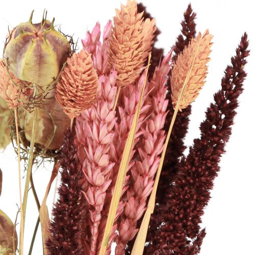 Floristik24 Bukiet suszonych kwiatów ziarnistych Nigella różowo-pomarańczowy 50cm