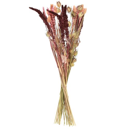 Floristik24 Bukiet suszonych kwiatów ziarnistych Nigella różowo-pomarańczowy 50cm