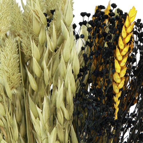 Floristik24 Bukiet suszonych kwiatów ziarno suchy bukiet żółty niebieski 50cm