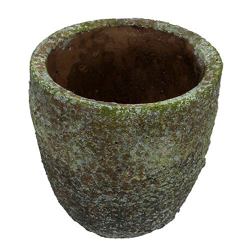 Floristik24 Doniczka z mchem Ø16cm H16cm 1szt.