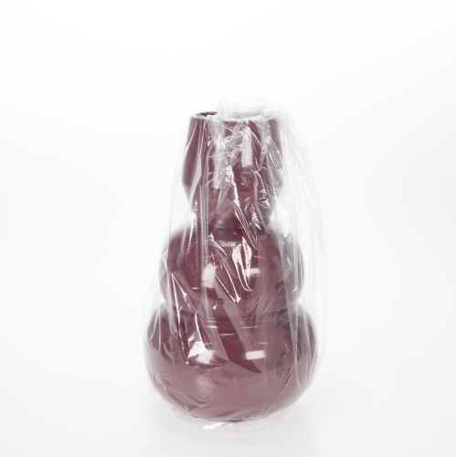 Produkt Nowoczesny wazon o stylowym designie, idealny do dekoracji i wyposażenia wnętrz, 29 cm