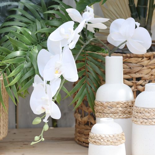 Produkt Biała orchidea sztuczna Phalaenopsis Real Touch H83cm