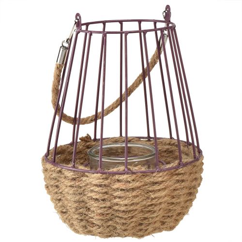 Floristik24 Latarnia z uchwytem i szkłem fioletowym naturalnym Ø18cm W22cm