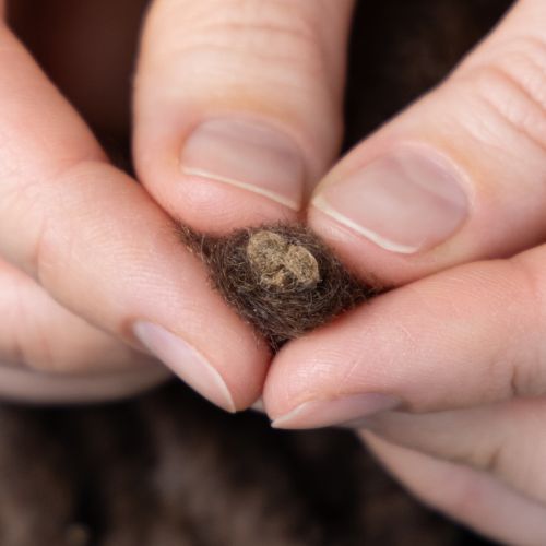 Produkt Puszysty wełniany sznurek Mirabell, brązowy, 25 m dekoracyjna wstążka do florystyki i rękodzieła