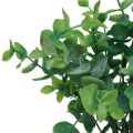 Floristik24 Sztuczne gałązki eukaliptusa sztuczne rośliny zielone 34cm 6szt