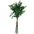 Floristik24 Sztuczne gałązki eukaliptusa sztuczne rośliny zielone 34cm 6szt