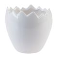 Floristik24 Doniczka ceramiczna z białkiem jajka Ø11,5cm W11,5cm 3szt