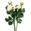 Floristik24 Sztuczne Róże Kremowe Sztuczne Róże Dry Look 53cm 3szt