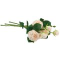 Floristik24 Sztuczne Róże Kremowe Sztuczne Róże Dry Look 53cm 3szt