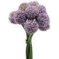 Floristik24 Sztuczne kwiaty kuliste Allium sztuczny fiolet 25cm 12szt