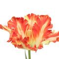 Floristik24 Sztuczny kwiat papuga tulipan Sztuczny tulipan pomarańczowy 69cm