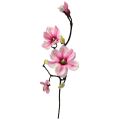 Floristik24 Sztuczny kwiat gałązka magnolii magnolia sztuczny różowy 59cm