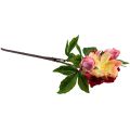 Floristik24 Piwonie Jedwabne Kwiaty Sztuczne Kwiaty Różowy Różowy 68cm