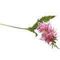Floristik24 Kwiaty sztuczne, jedwabne kwiaty ozdobne lilia różowa 97cm