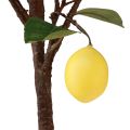 Floristik24 Sztuczne drzewko cytrynowe w doniczce żółte 90cm